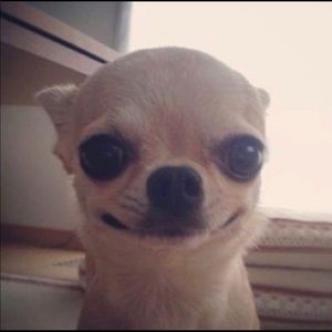 Meet your Posher, Matthew